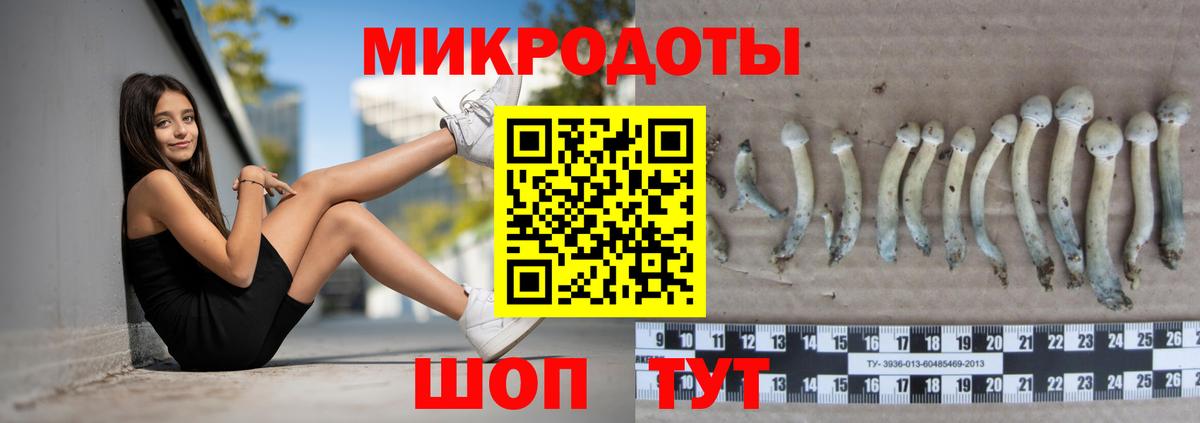 Псилоцибиновые грибы мухоморы Беслан
